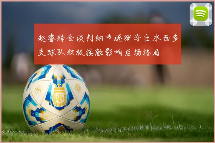 赵睿转会谈判细节逐渐浮出水面多支球队积极接触影响后场格局